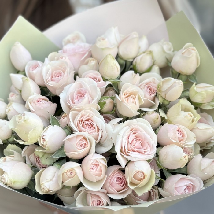 15 пионовидных кустовых роз Свит Блоссом