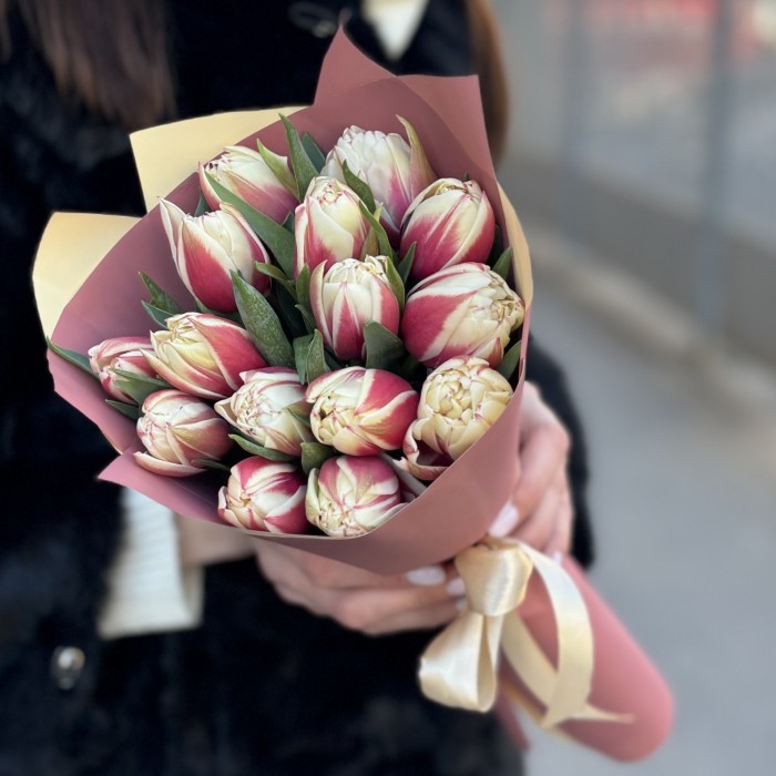 15 пионовидных тюльпанов Вермонт