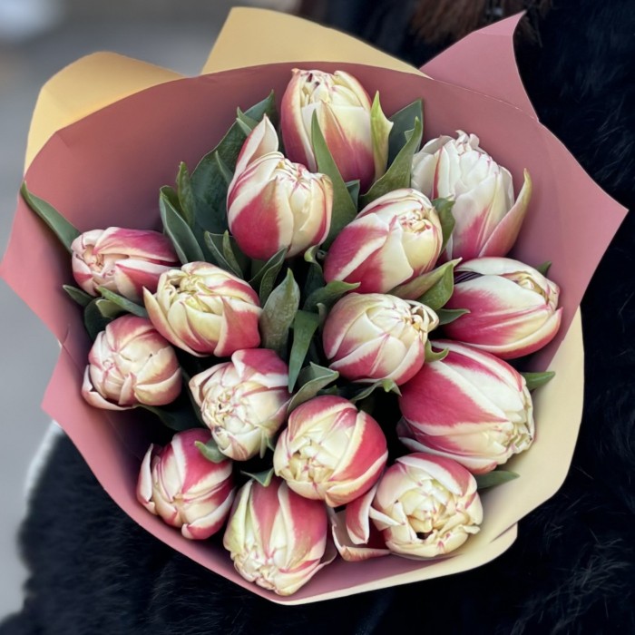 15 пионовидных тюльпанов Вермонт