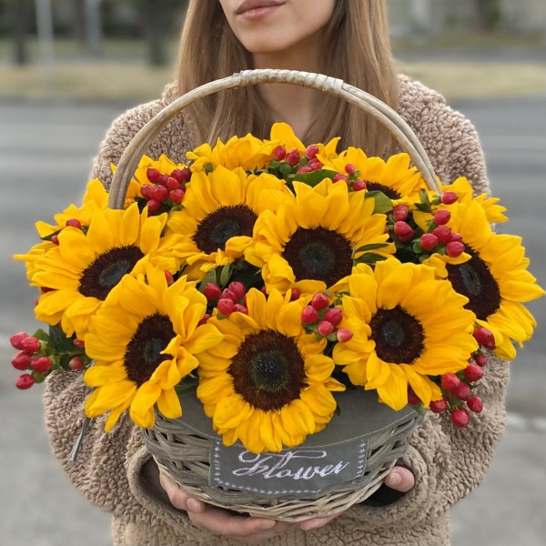 15 подсолнухов с гиперикумом в корзине