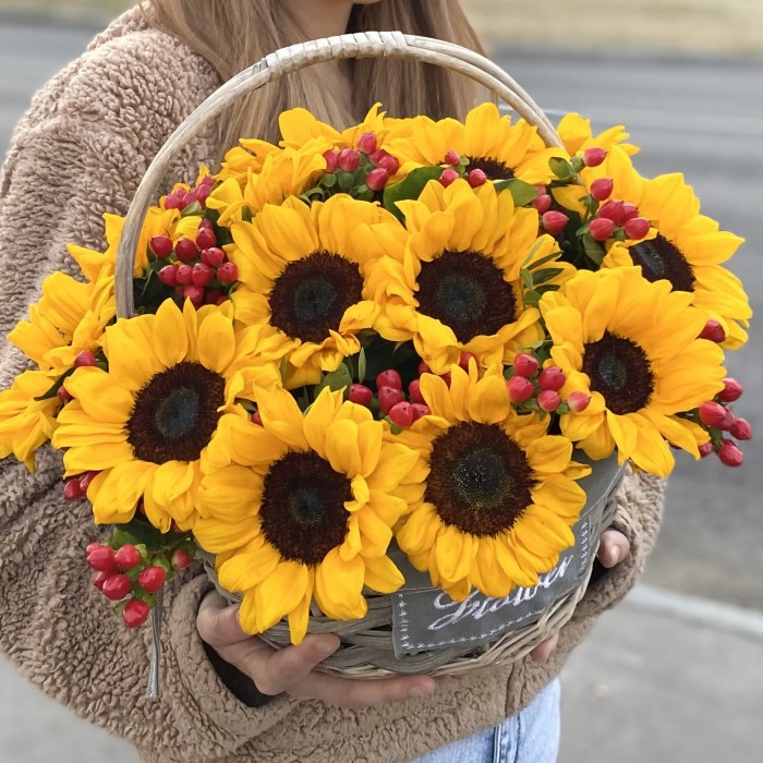 15 подсолнухов с гиперикумом в корзине