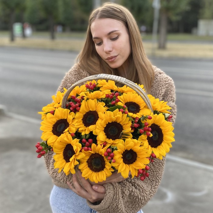 15 подсолнухов с гиперикумом в корзине