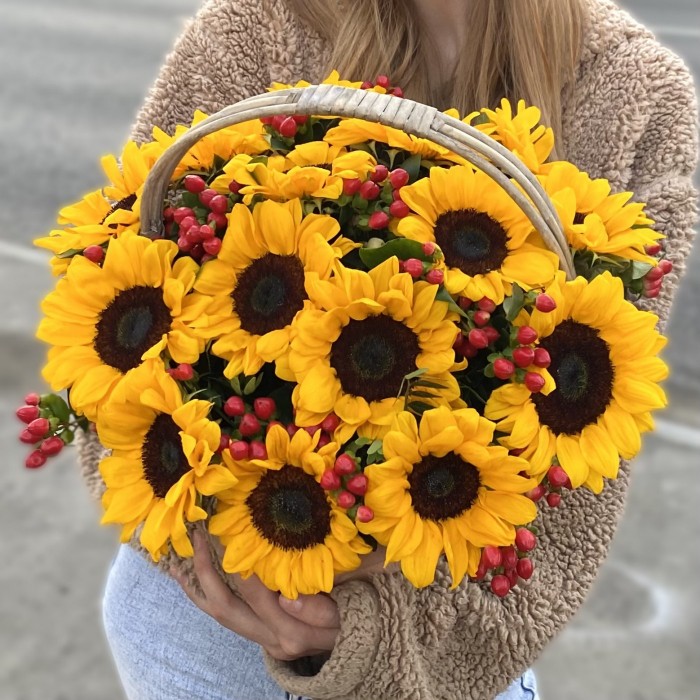 15 подсолнухов с гиперикумом в корзине