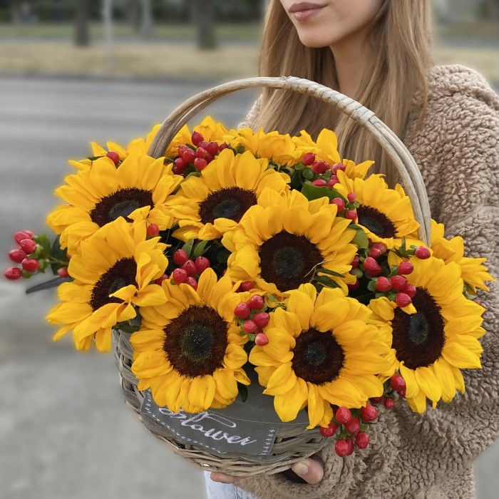 15 подсолнухов с гиперикумом в корзине