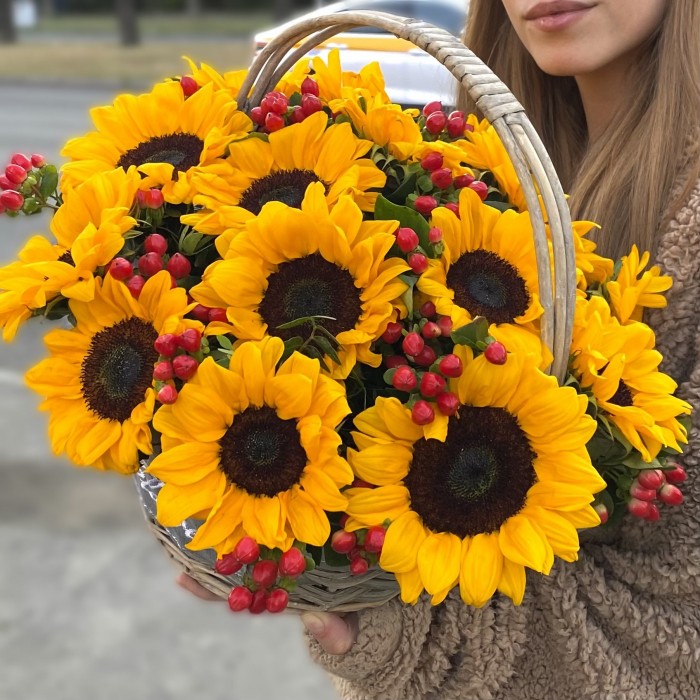 15 подсолнухов с гиперикумом в корзине