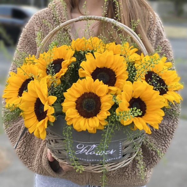 15 подсолнухов с гринбеллом в корзине