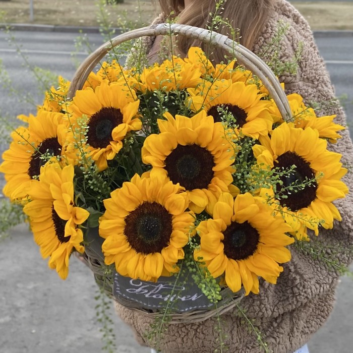 15 подсолнухов с гринбеллом в корзине
