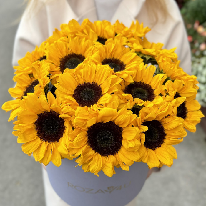 15 подсолнухов в коробке