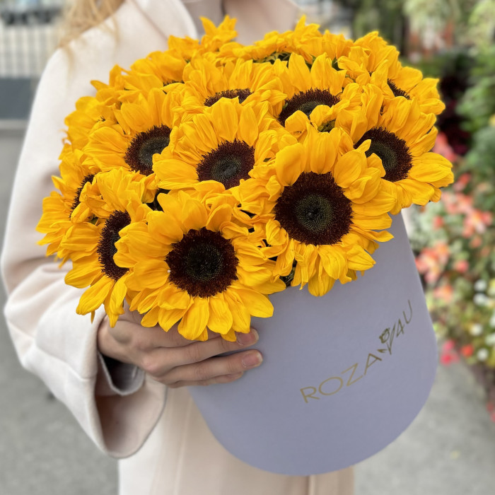 15 подсолнухов в коробке