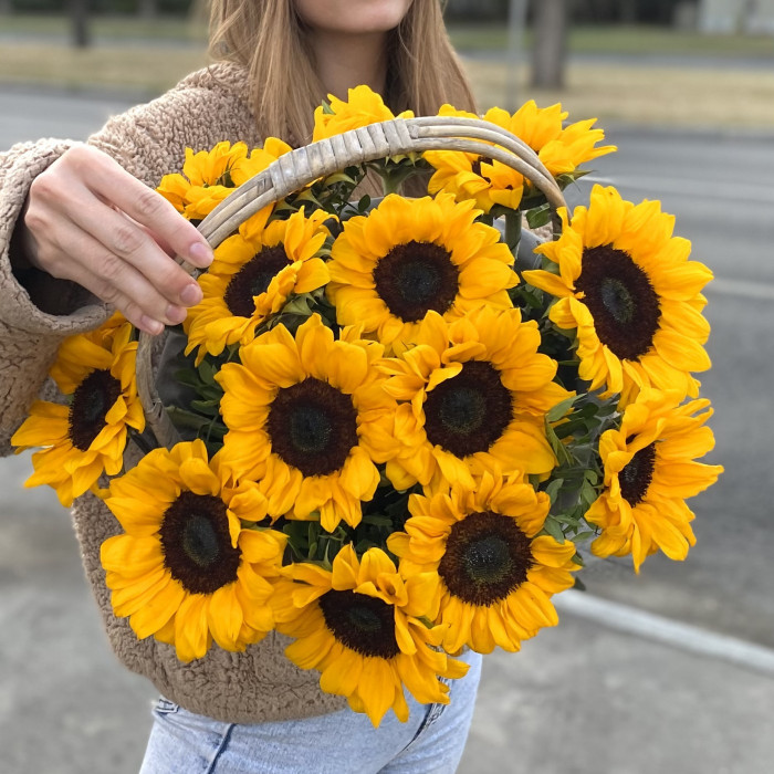 15 подсолнухов в корзине