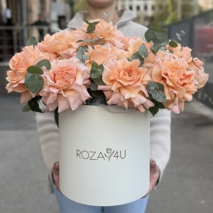 15 пышных абрикосовых роз Принцес Краун с эвкалиптом в коробке