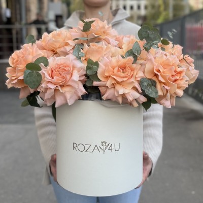 15 пышных абрикосовых роз Принцес Краун с эвкалиптом в коробке