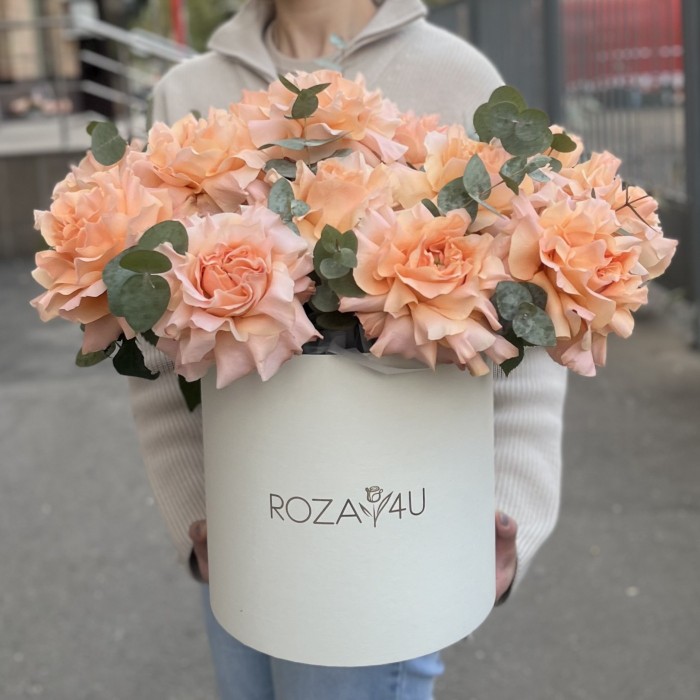 15 пышных абрикосовых роз Принцес Краун с эвкалиптом в коробке