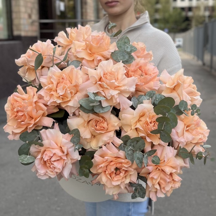 15 пышных абрикосовых роз Принцес Краун с эвкалиптом в коробке