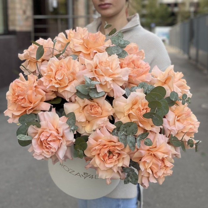 15 пышных абрикосовых роз Принцес Краун с эвкалиптом в коробке