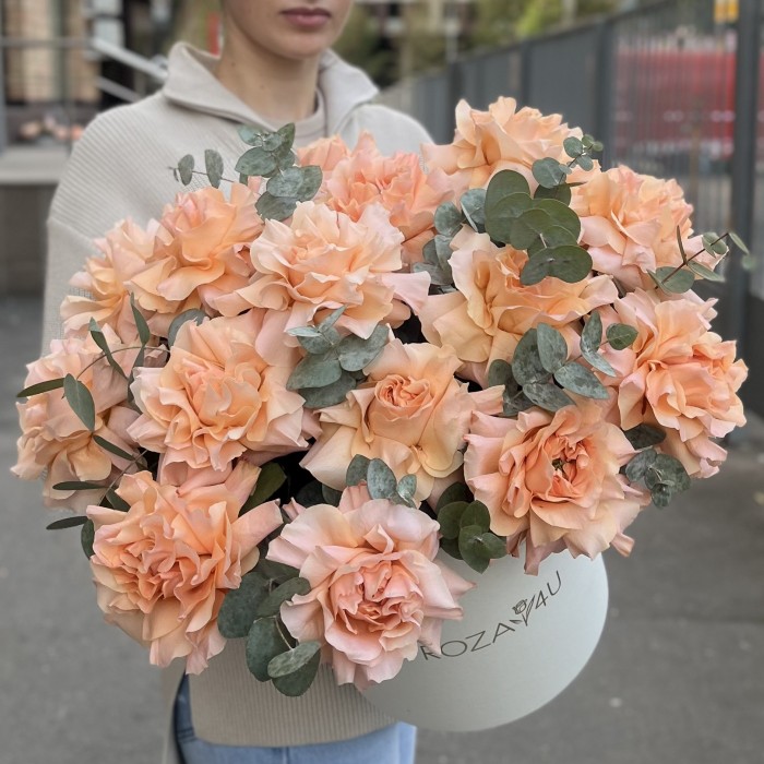 15 пышных абрикосовых роз Принцес Краун с эвкалиптом в коробке