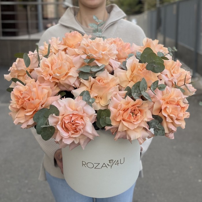 15 пышных абрикосовых роз Принцес Краун с эвкалиптом в коробке