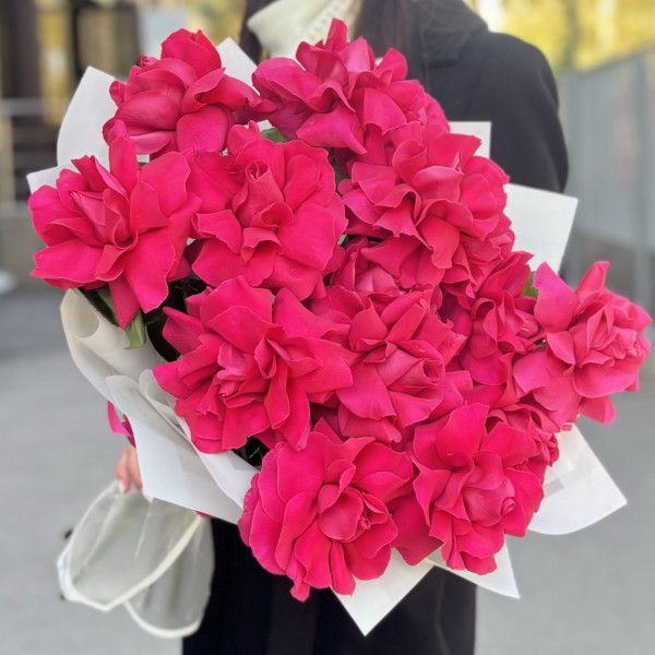 15 пышных малиновых роз в упаковке