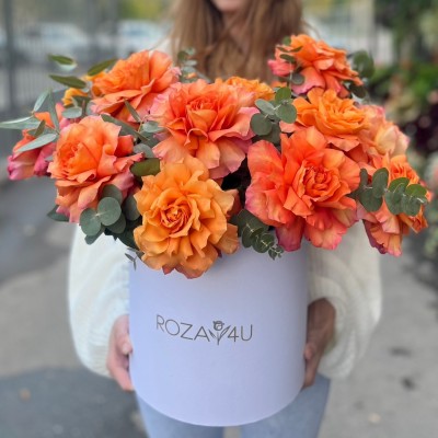 15 пышных роз Фри Спирит с эвкалиптом в коробке