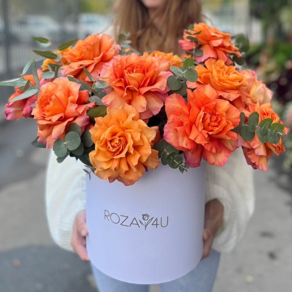 15 пышных роз Фри Спирит с эвкалиптом в коробке