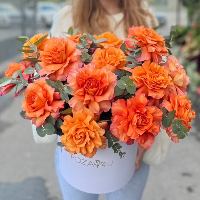 15 пышных роз Фри Спирит с эвкалиптом в коробке