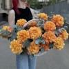 15 пышных роз Фри Спирит с эвкалиптом в корзине