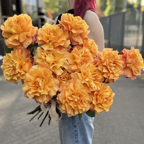 15 пышных роз Фри Спирит