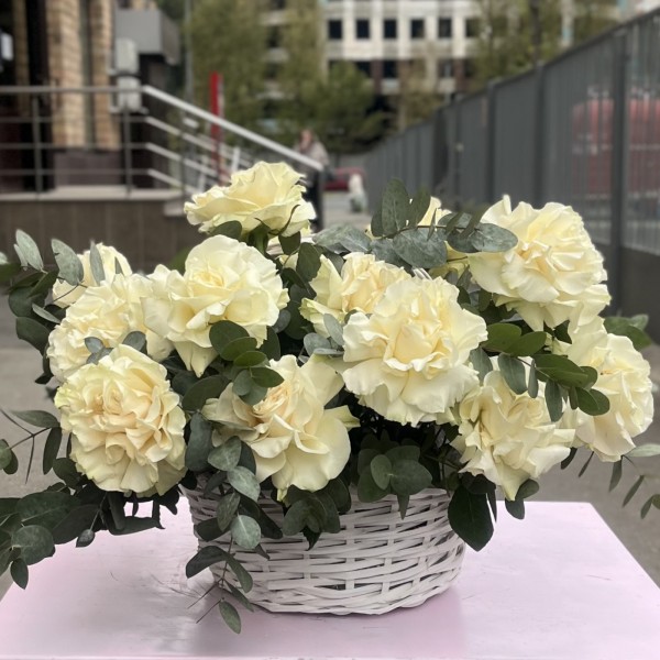 15 пышных роз Мондиаль с эвкалиптом в корзине