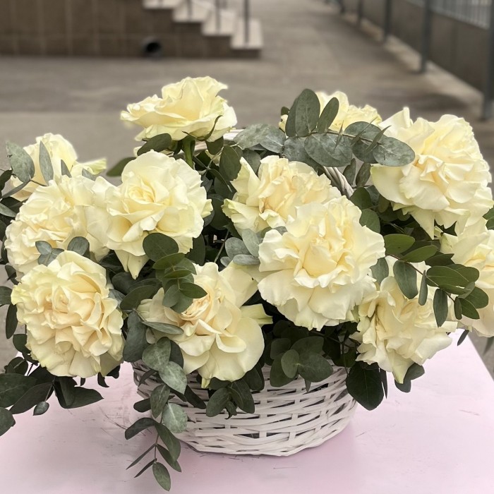 15 пышных роз Мондиаль с эвкалиптом в корзине