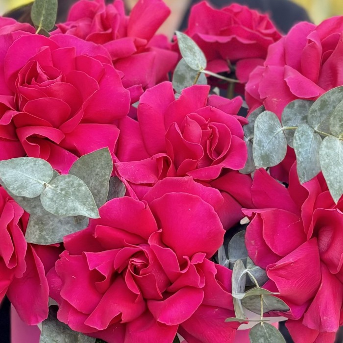 15 пышных роз Пинк Флойд с эвкалиптом в коробке