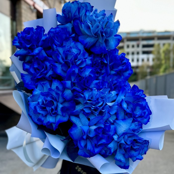 15 пышных синих роз