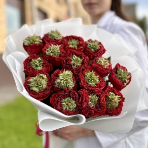 15 красных роз Ред Монстер 50 см