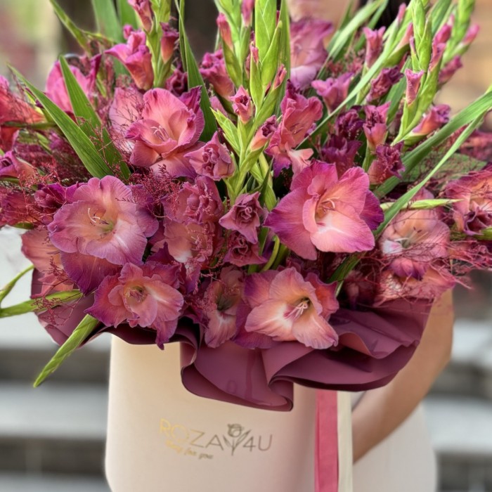 15 розово-фиолетовых гладиолусов в коробке