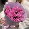 15 розовых гиацинтов