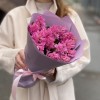15 розовых гиацинтов