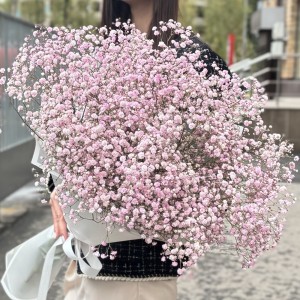 15 розовых гипсофил в упаковке