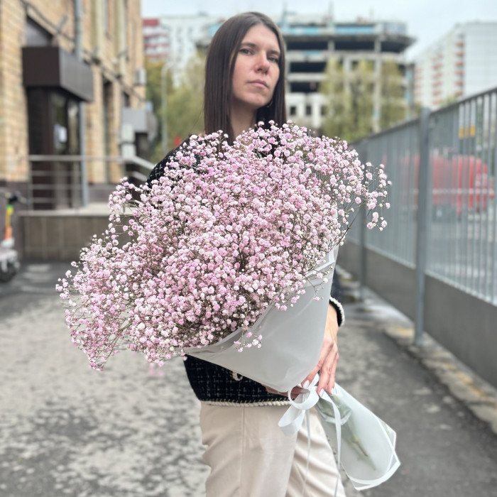 15 розовых гипсофил в упаковке