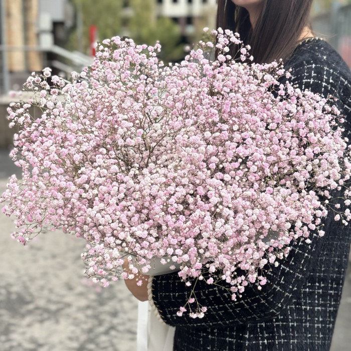 15 розовых гипсофил в упаковке