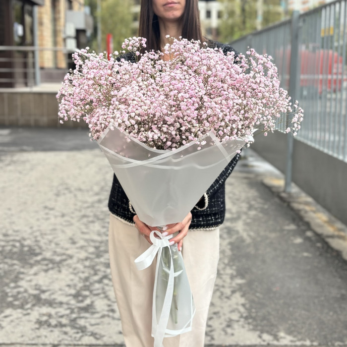 15 розовых гипсофил в упаковке