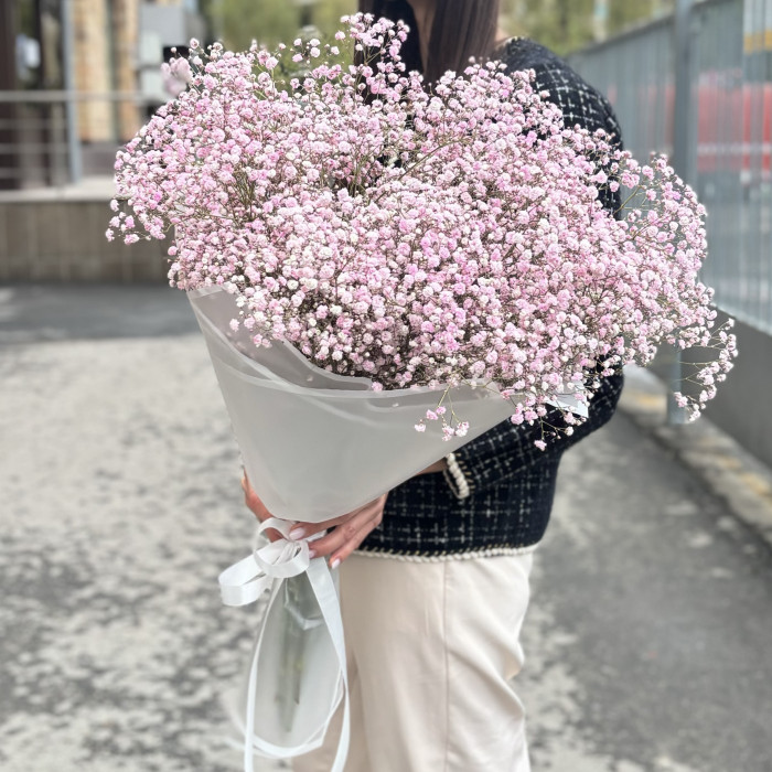 15 розовых гипсофил в упаковке