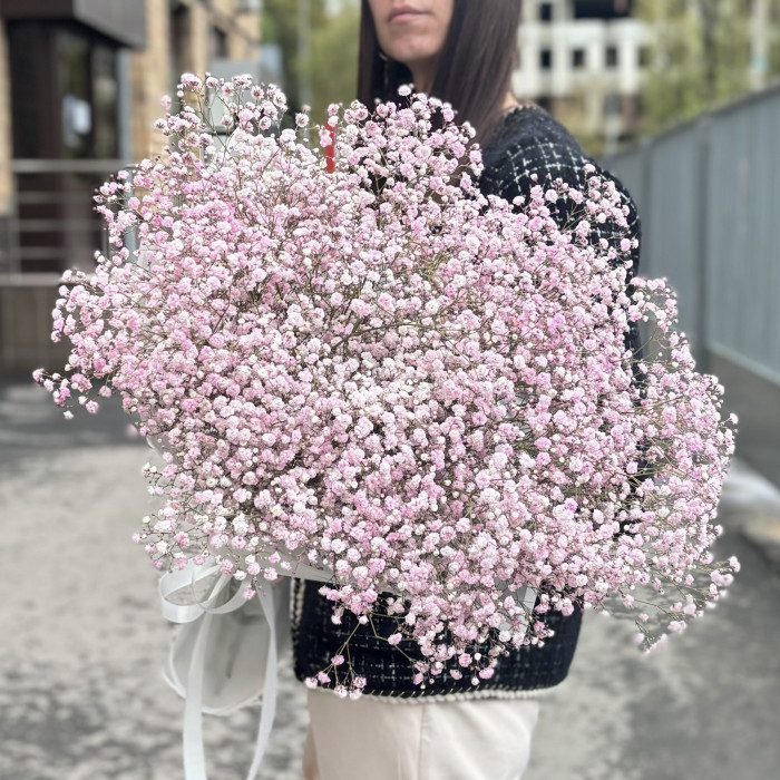 15 розовых гипсофил в упаковке