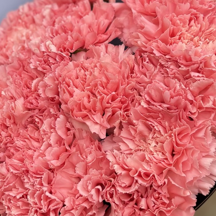 15 розовых гвоздик