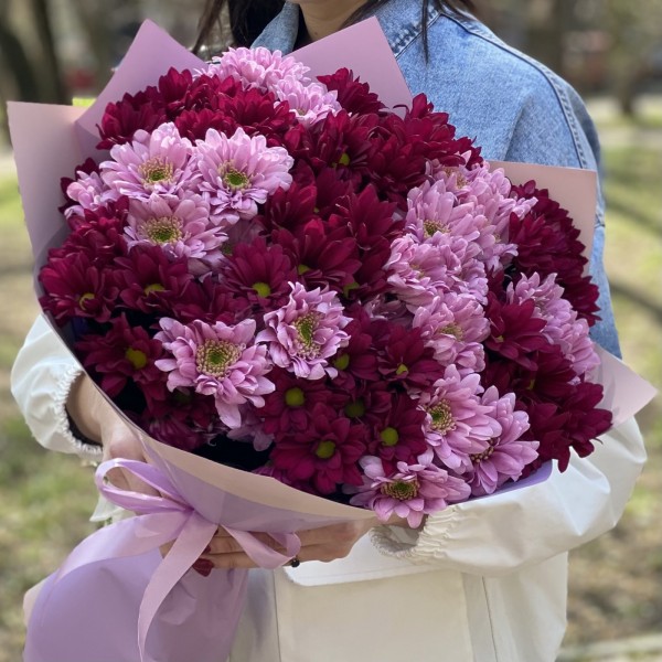 15 розовых и фиолетовых кустовых хризантем