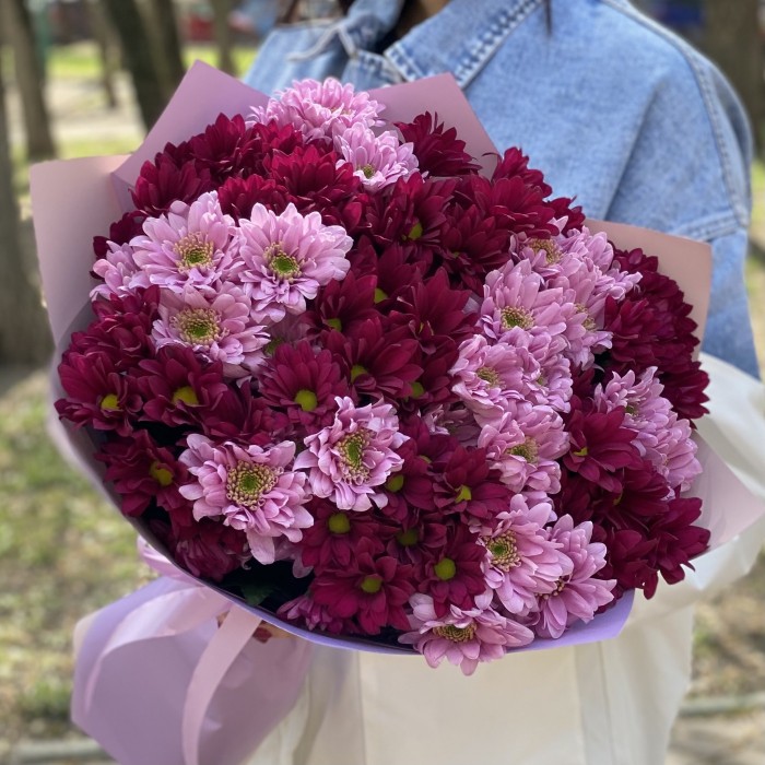 15 розовых и фиолетовых кустовых хризантем