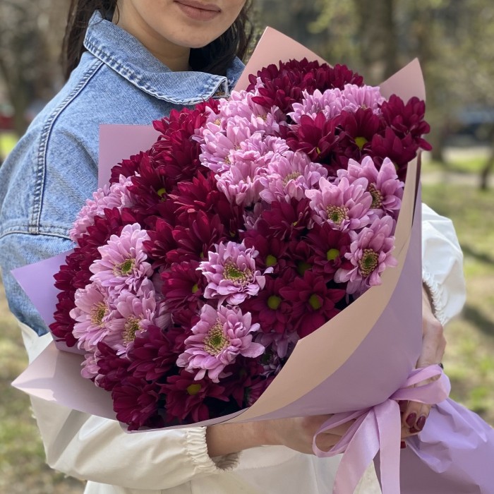 15 розовых и фиолетовых кустовых хризантем