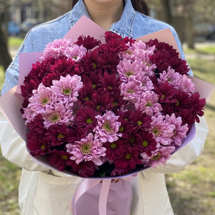 15 розовых и фиолетовых кустовых хризантем