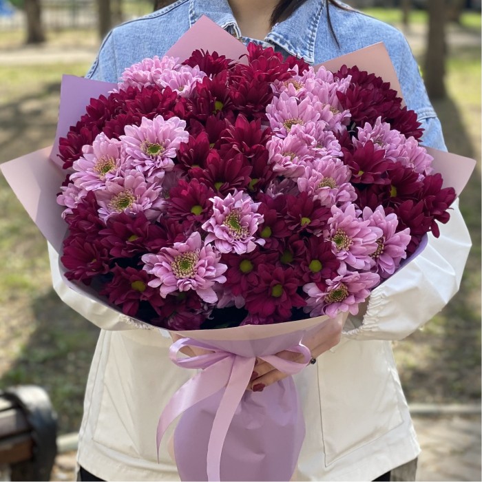 15 розовых и фиолетовых кустовых хризантем