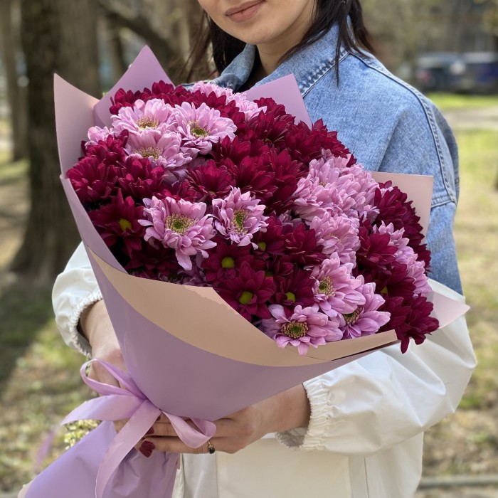 15 розовых и фиолетовых кустовых хризантем