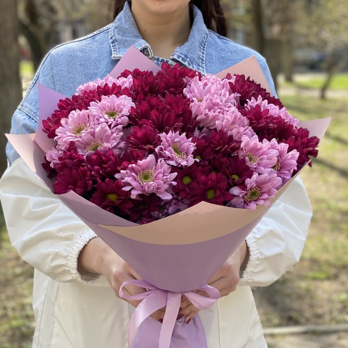 15 розовых и фиолетовых кустовых хризантем