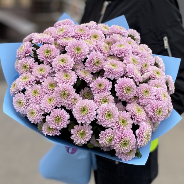 15 розовых кустовых хризантем Романс
